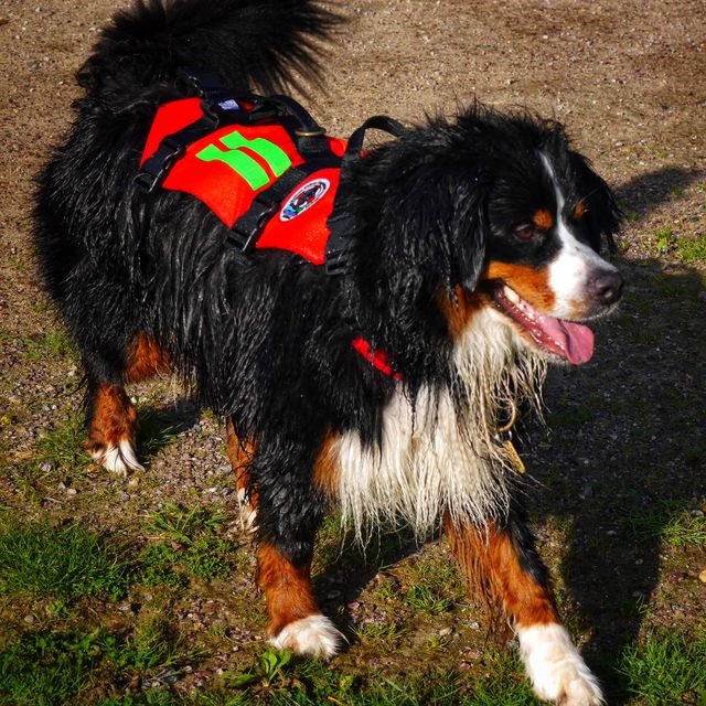 Tara en sauvetage en mer